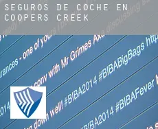 Seguros de coche en  Coopers Creek