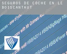 Seguros de coche en  Le Boiscantaut