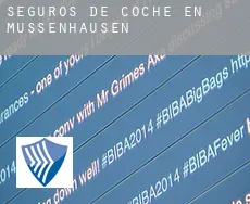 Seguros de coche en  Mussenhausen