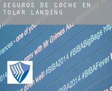 Seguros de coche en  Tolar Landing