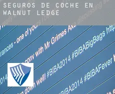 Seguros de coche en  Walnut Ledge