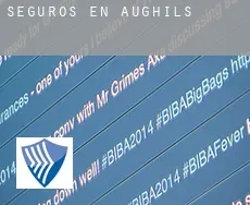 Seguros en  Aughils