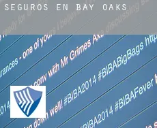 Seguros en  Bay Oaks
