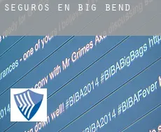 Seguros en  Big Bend