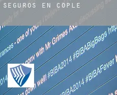 Seguros en Cople