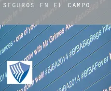 Seguros en  El Campo