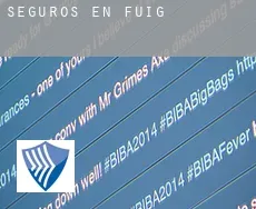 Seguros en  Fuig