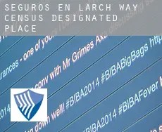 Seguros en  Larch Way