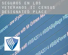 Seguros en  Los Veteranos II