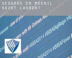 Seguros en  Mesnil-Saint-Laurent