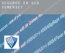 Seguros en Old Somerset