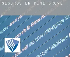 Seguros en  Pine Grove