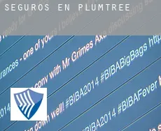 Seguros en  Plumtree