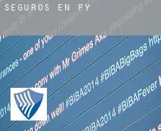 Seguros en  Py