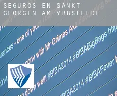 Seguros en  Sankt Georgen am Ybbsfelde