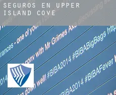 Seguros en  Upper Island Cove