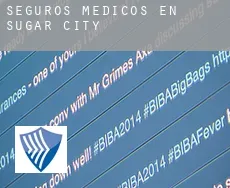 Seguros medicos en  Sugar City