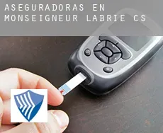 Aseguradoras en  Monseigneur-Labrie (census area)