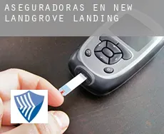 Aseguradoras en New Landgrove Landing