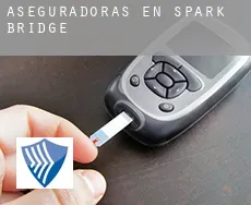 Aseguradoras en  Spark Bridge