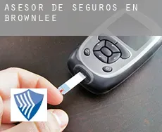 Asesor de seguros en Brownlee