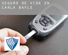 Seguro de vida en  Carla-Bayle