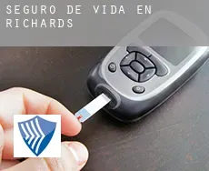 Seguro de vida en Richards
