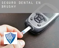 Seguro dental en  Brushy