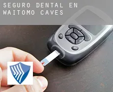 Seguro dental en  Waitomo Caves