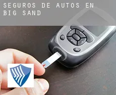 Seguros de autos en  Big Sand