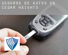 Seguros de autos en  Cedar Heights