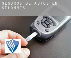 Seguros de autos en  Selommes