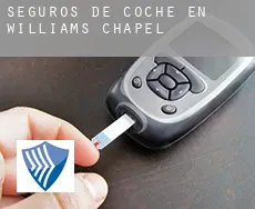 Seguros de coche en  Williams Chapel