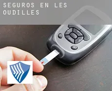 Seguros en  Les Oudilles