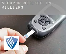 Seguros medicos en  Williers