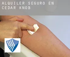 Alquiler seguro en  Cedar Knob