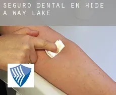 Seguro dental en  Hide-A-Way Lake