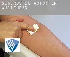 Seguros de autos en  Whitehead