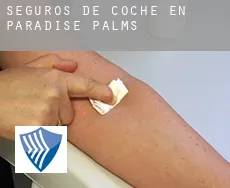 Seguros de coche en  Paradise Palms