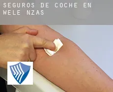 Seguros de coche en  Wele-Nzas
