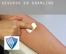Seguros en  Gramling