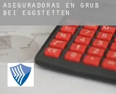 Aseguradoras en  Grub bei Eggstetten