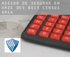 Asesor de seguros en  Orée-des-Bois (census area)