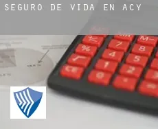 Seguro de vida en  Acy