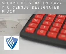 Seguro de vida en  Lazy Y U