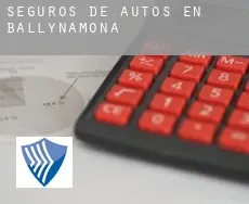 Seguros de autos en  Ballynamona