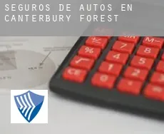Seguros de autos en Canterbury Forest