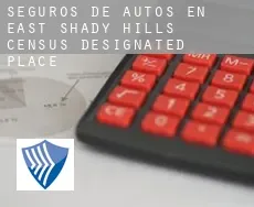 Seguros de autos en  East Shady Hills