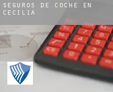 Seguros de coche en  Cecilia