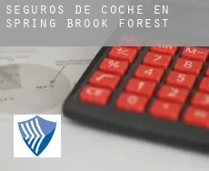Seguros de coche en  Spring Brook Forest